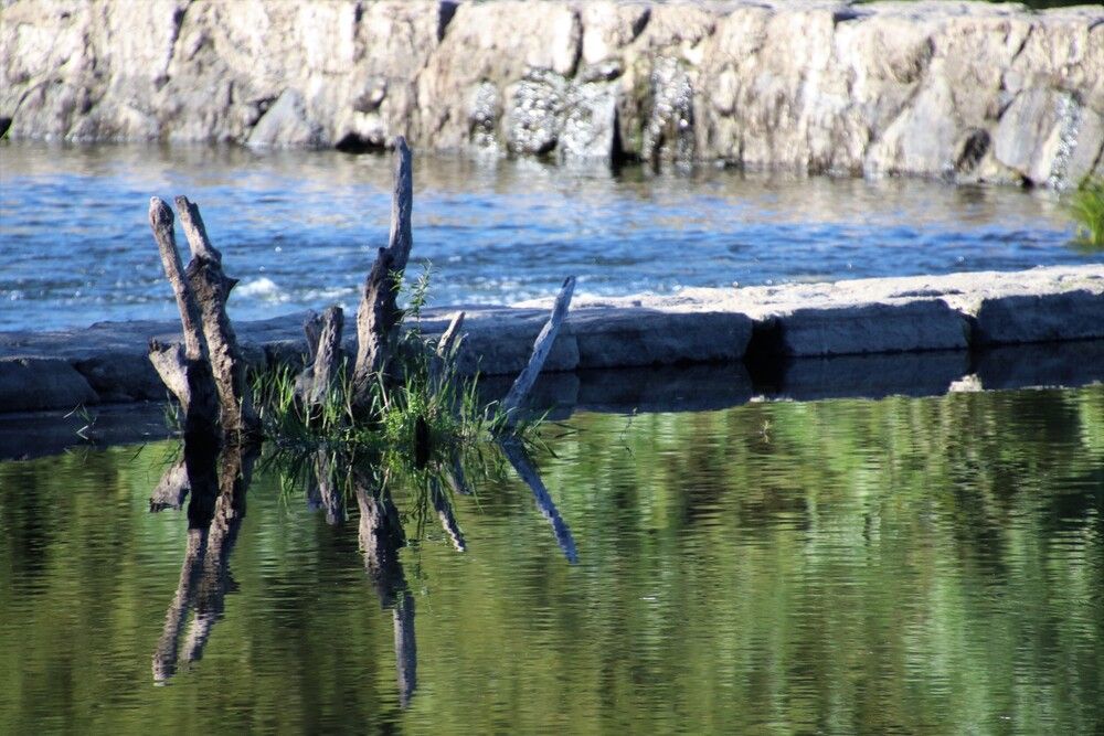 Photograph by Maria Isabel Moreira