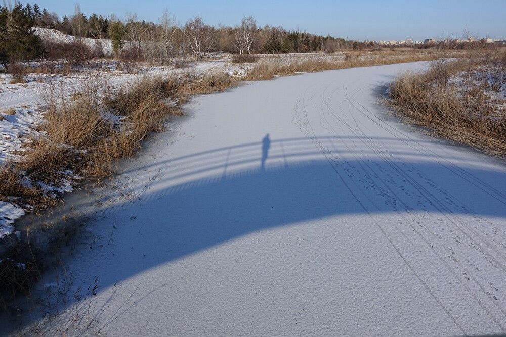 Photograph by Екатерина Зубарева
