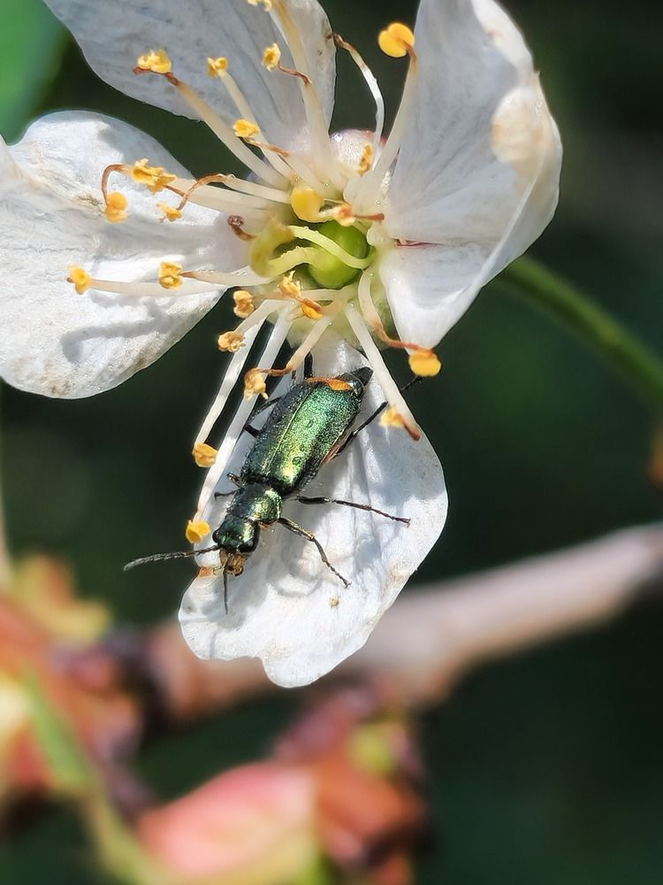 Photograph by Ольга Быстрова