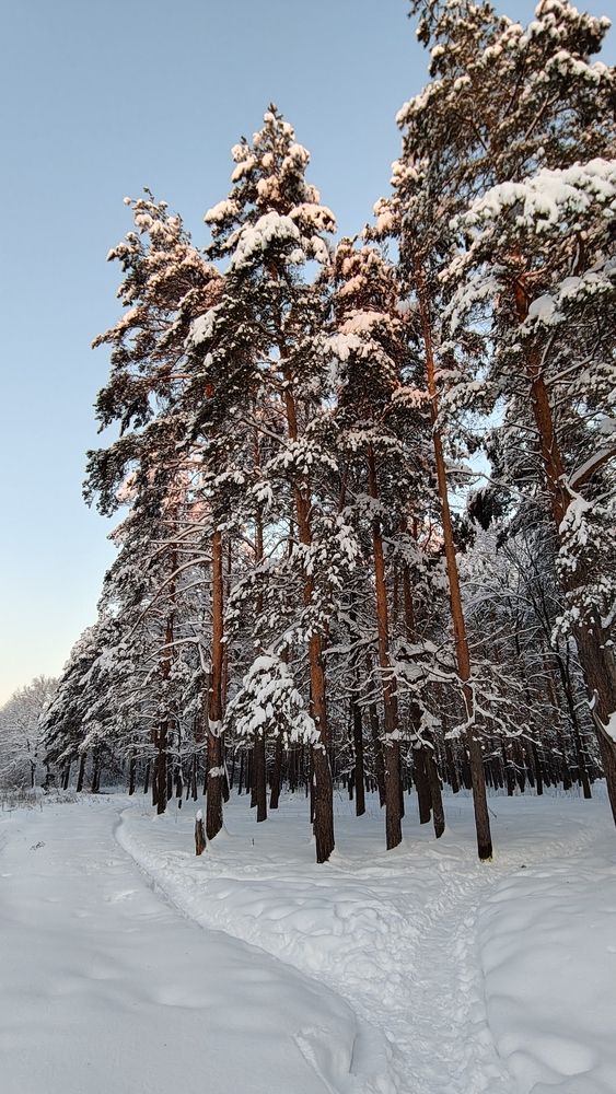 Photograph by Людмила Горячева