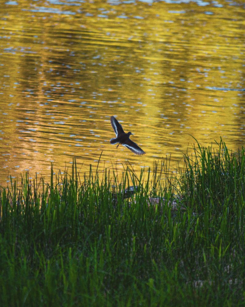 Photograph by Антон Глухов