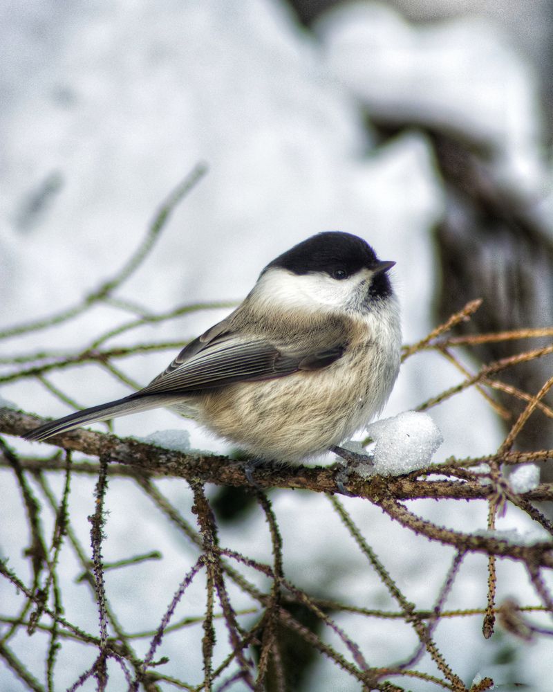 Photograph by Антон Глухов