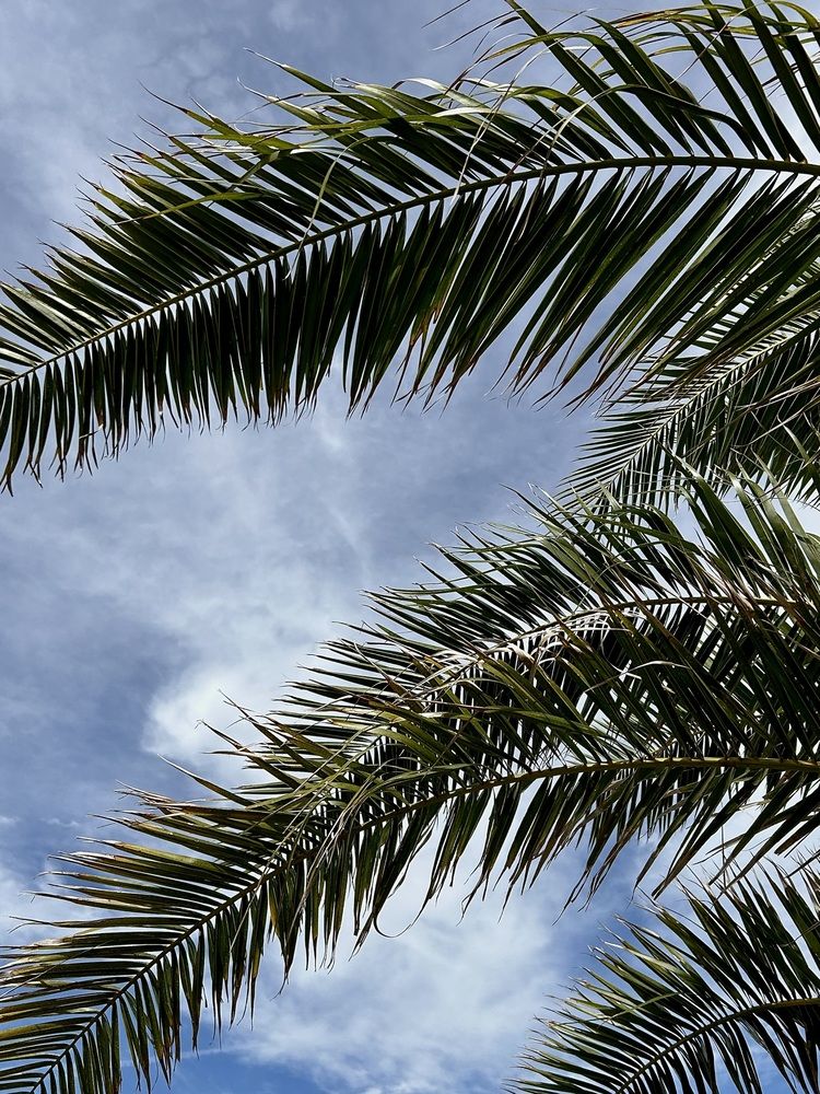 Photograph by Юлия Конопелкина