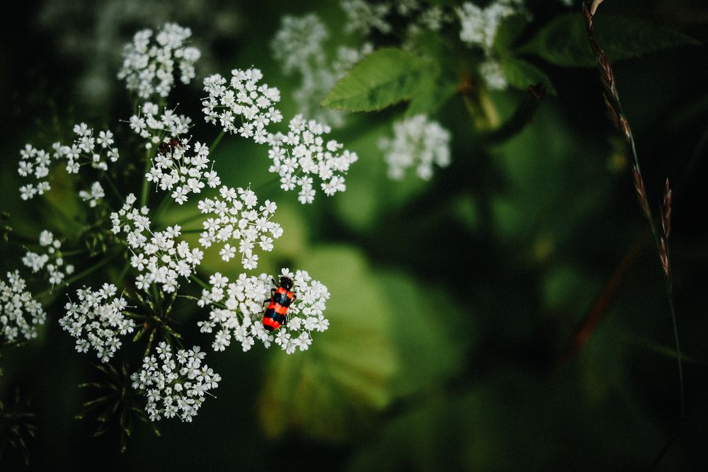 Photograph by Алексей Болотов