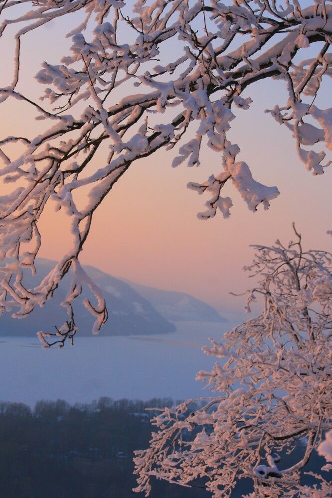 Photograph by Татьяна Шебаршенко