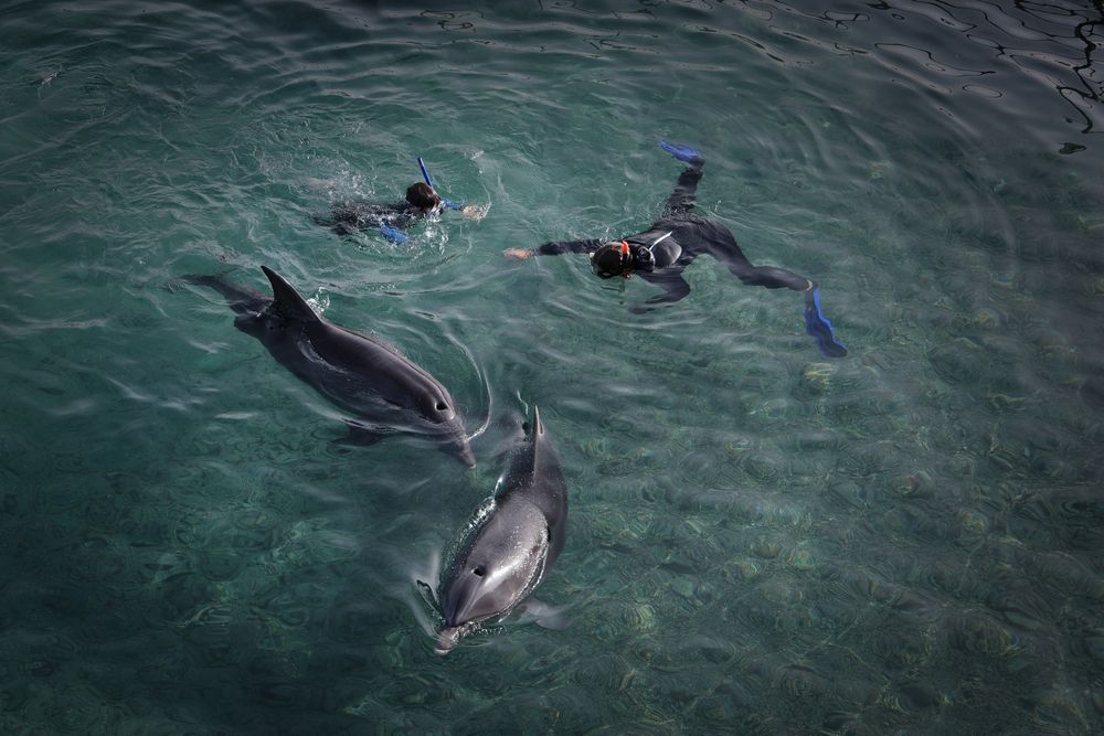 Photograph by pavel chtein