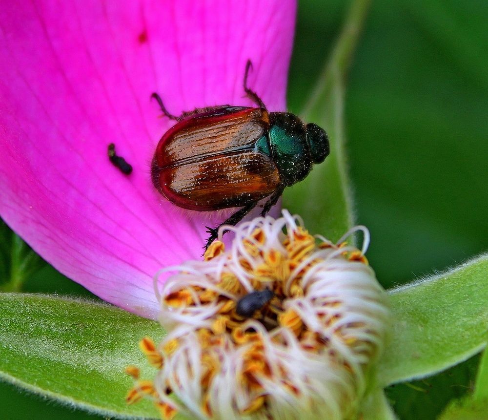 Photograph by Юлия Иванова