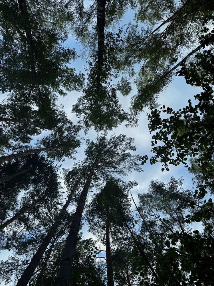 Фотография автора Евгения Брусенская