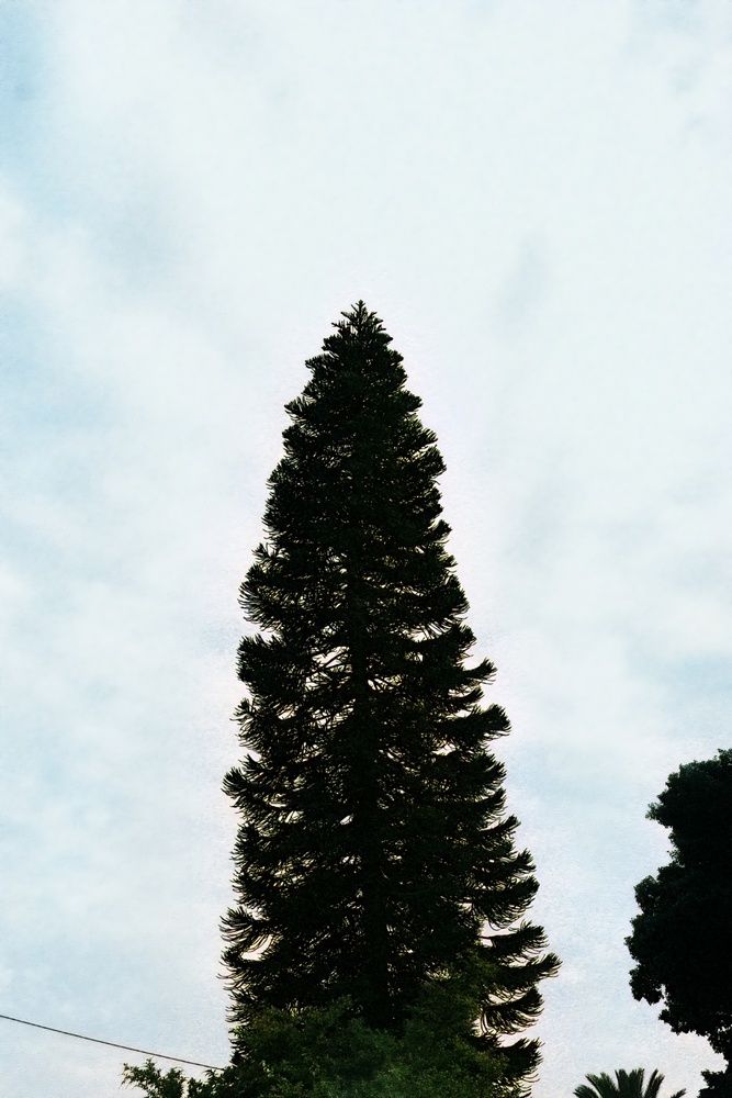 Photograph by Neriya Avichail