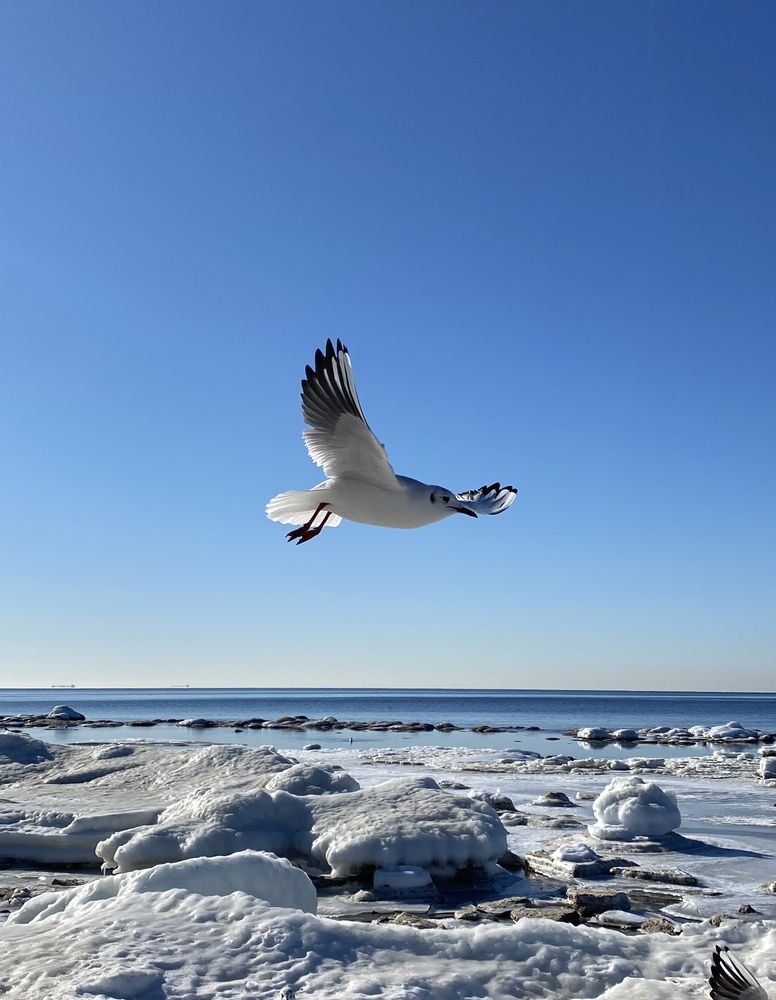 Photograph by Татьяна Челухиди