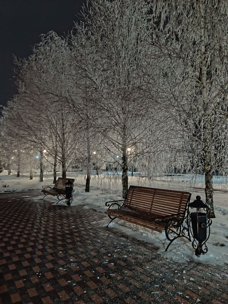 Photo #13197532