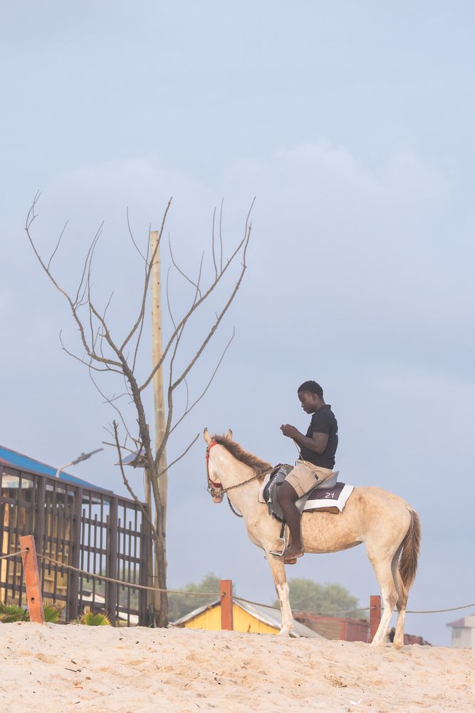 Фотография автора Erik