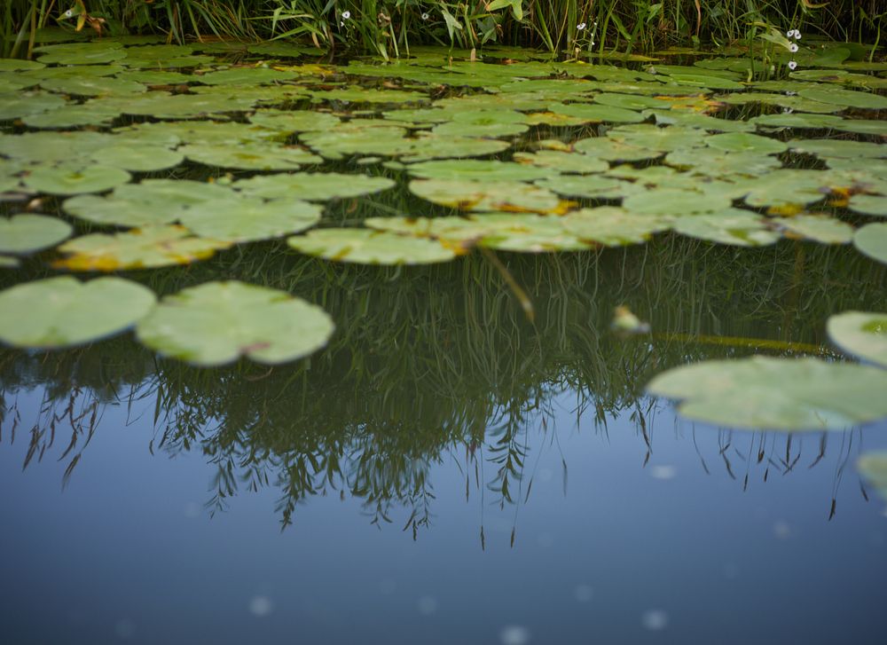 Photograph by Inna Tatarchenko