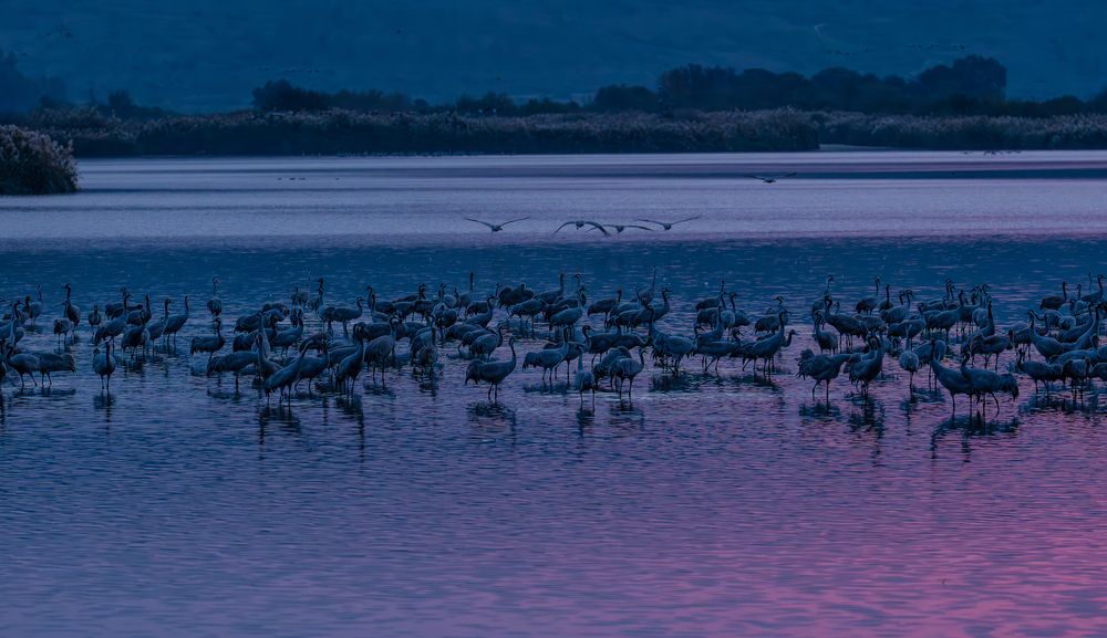 Photograph by Igor Shulkin