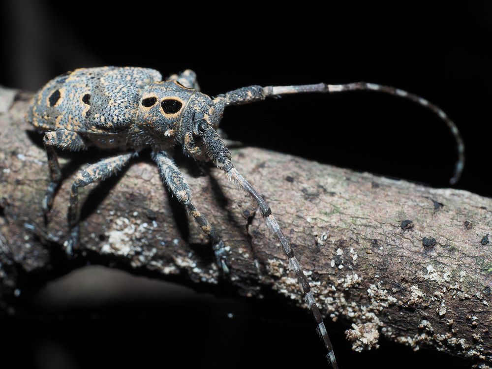 Photograph by Алексей Поляков