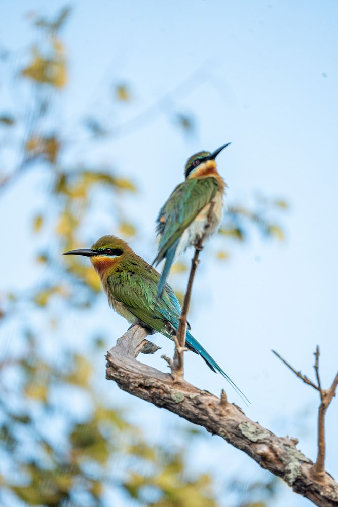 Photograph by Oshadha Priyankara