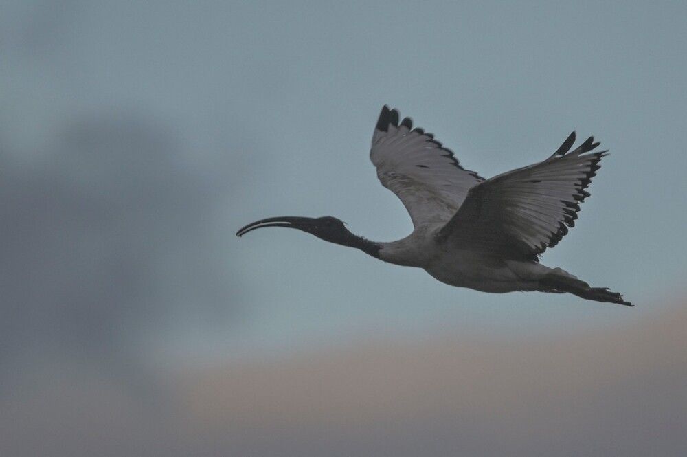 Photograph by Алексей Логинов