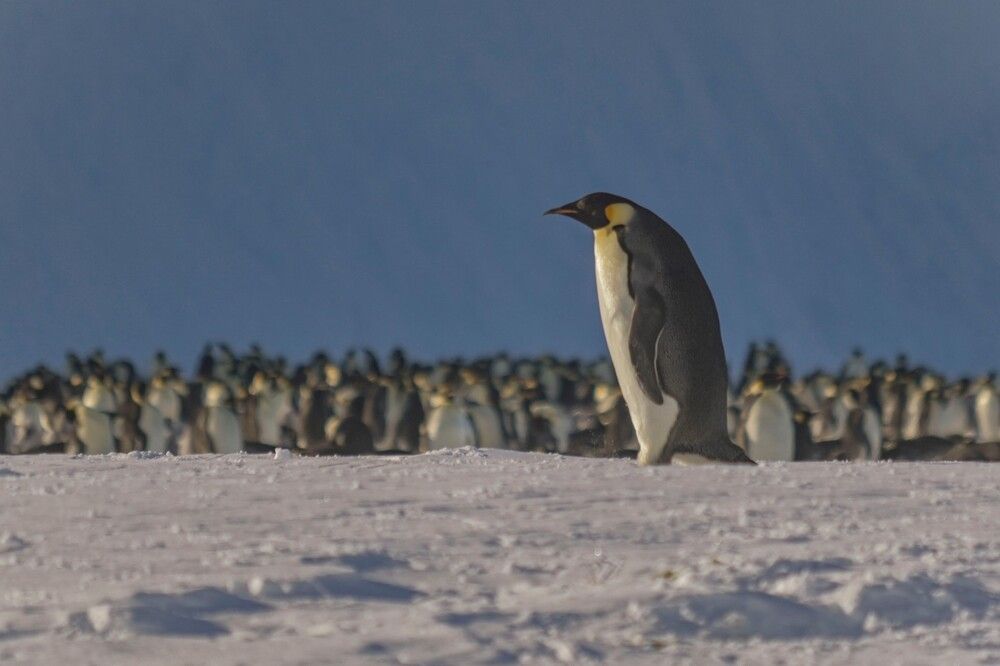 Photograph by Алексей Логинов