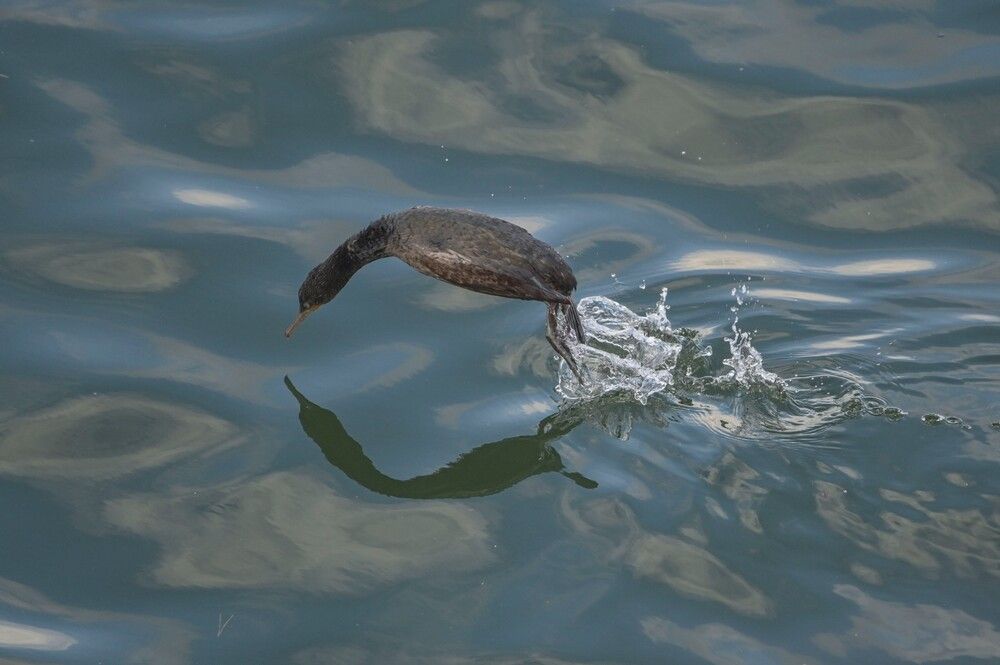 Photograph by Алексей Логинов