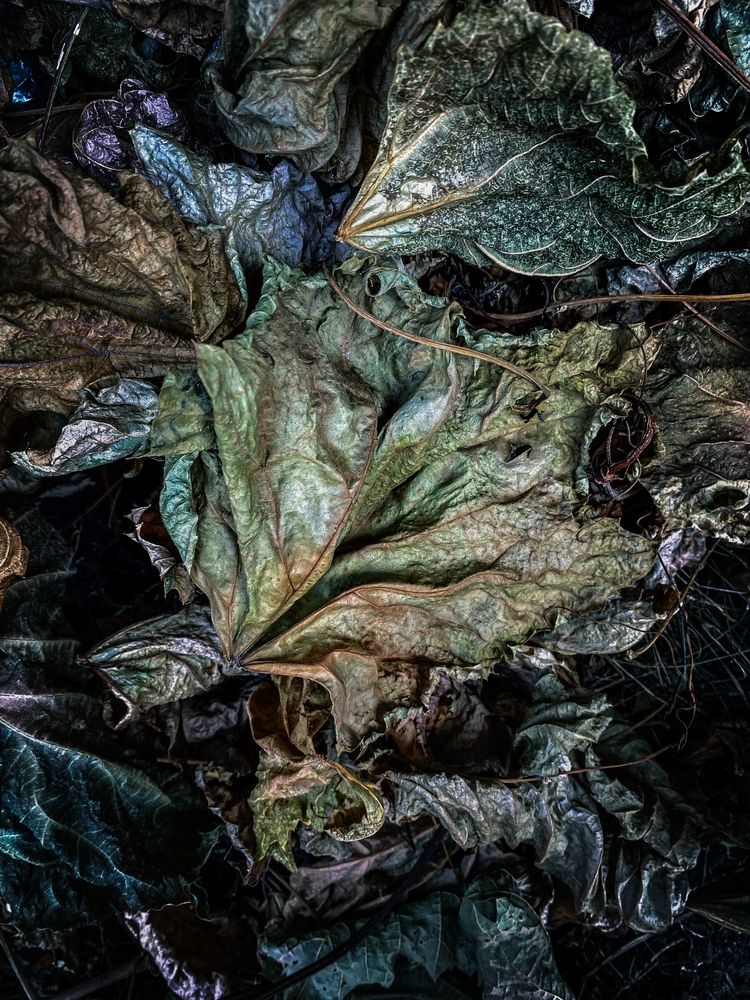 Фотография автора Наталья Мыкольникова