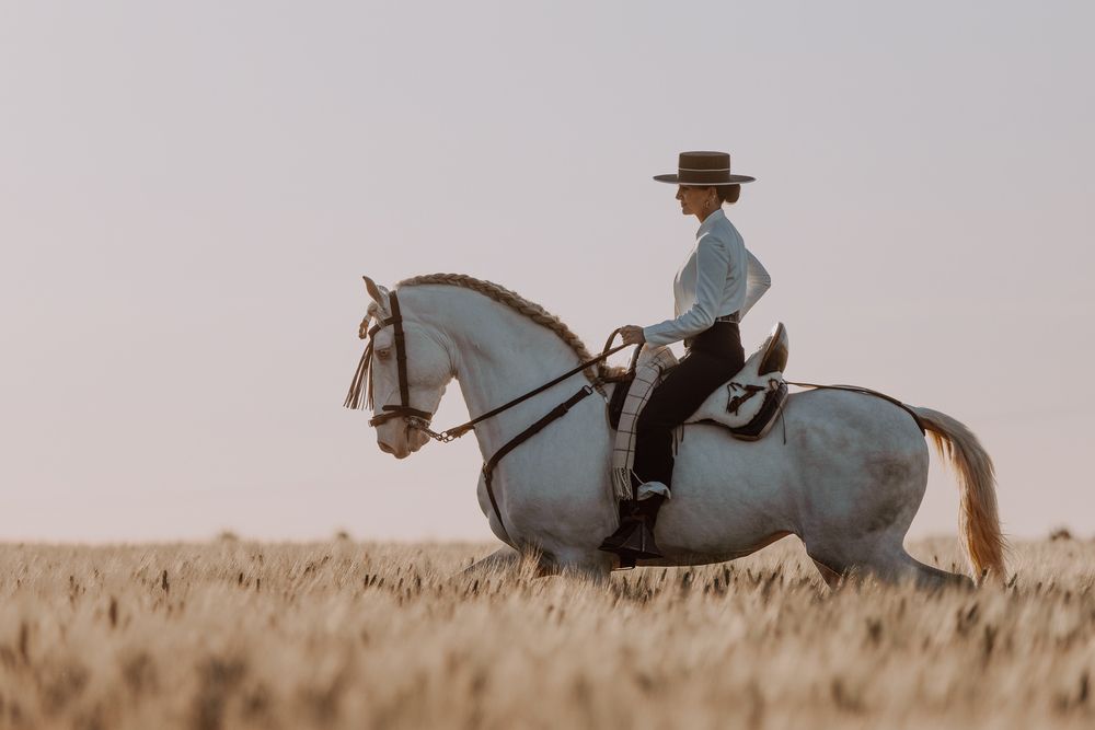 Фотография автора Fabienne Gassmann