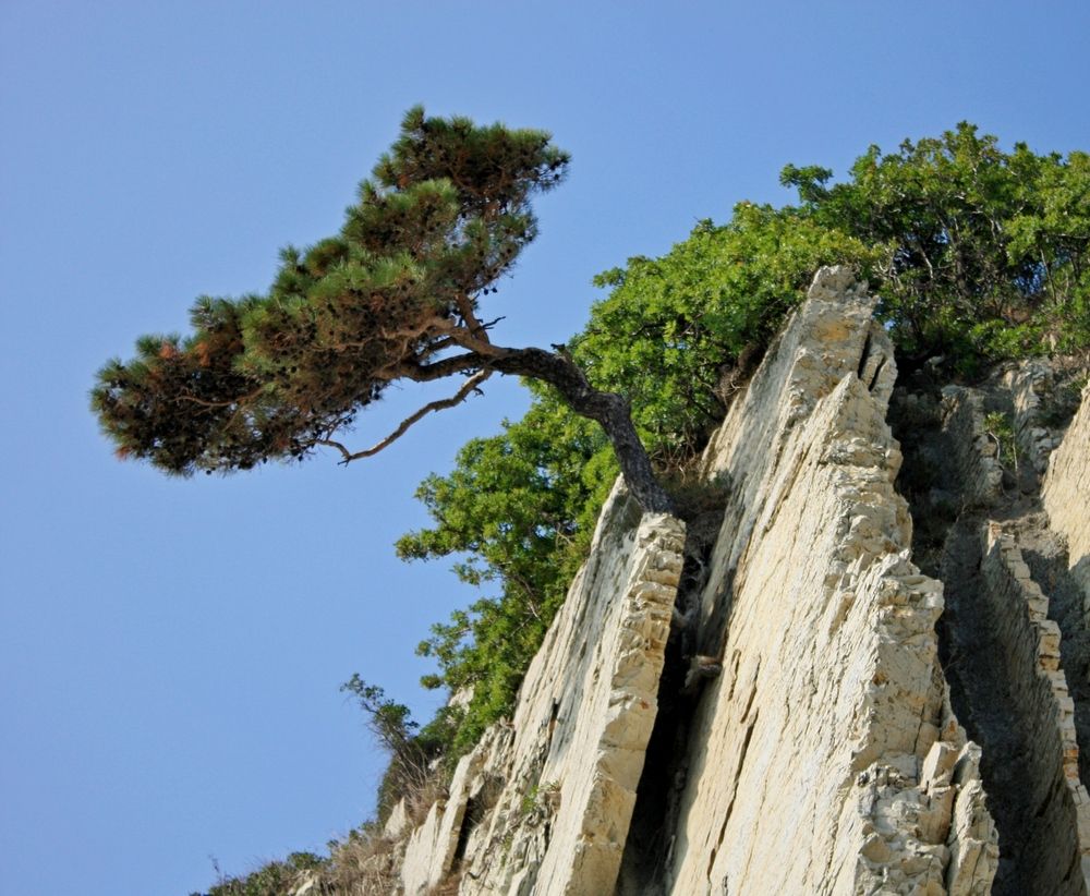 Фотография автора Сергей Христинич