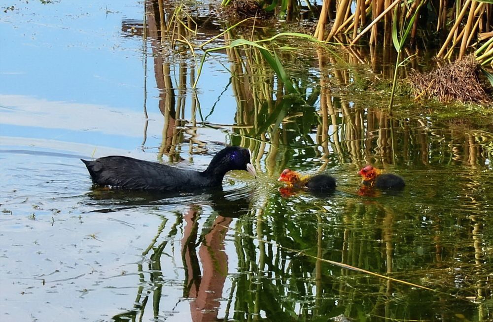 Photograph by ВЛАДИМИР Тертышник
