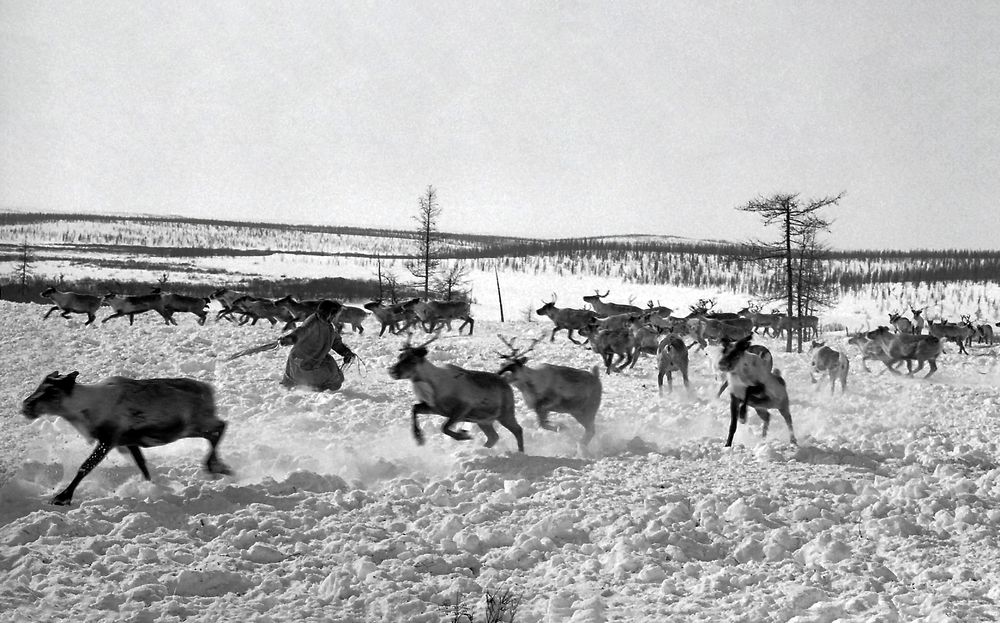 Photograph by Георгий Волков