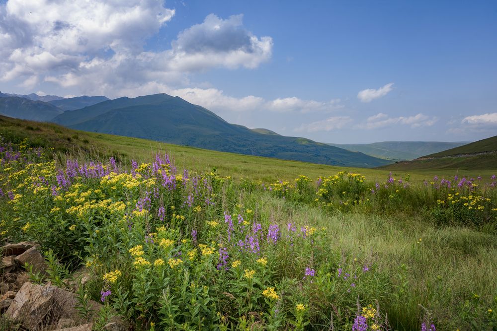 Photograph by Алексей Мякота