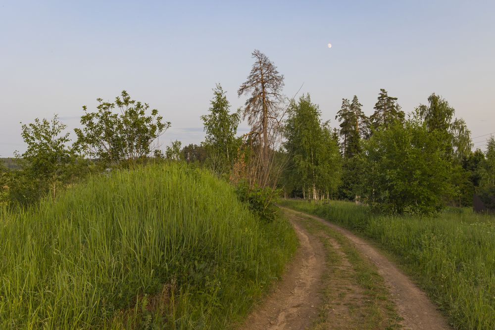 Photograph by Тимофей Овчинников