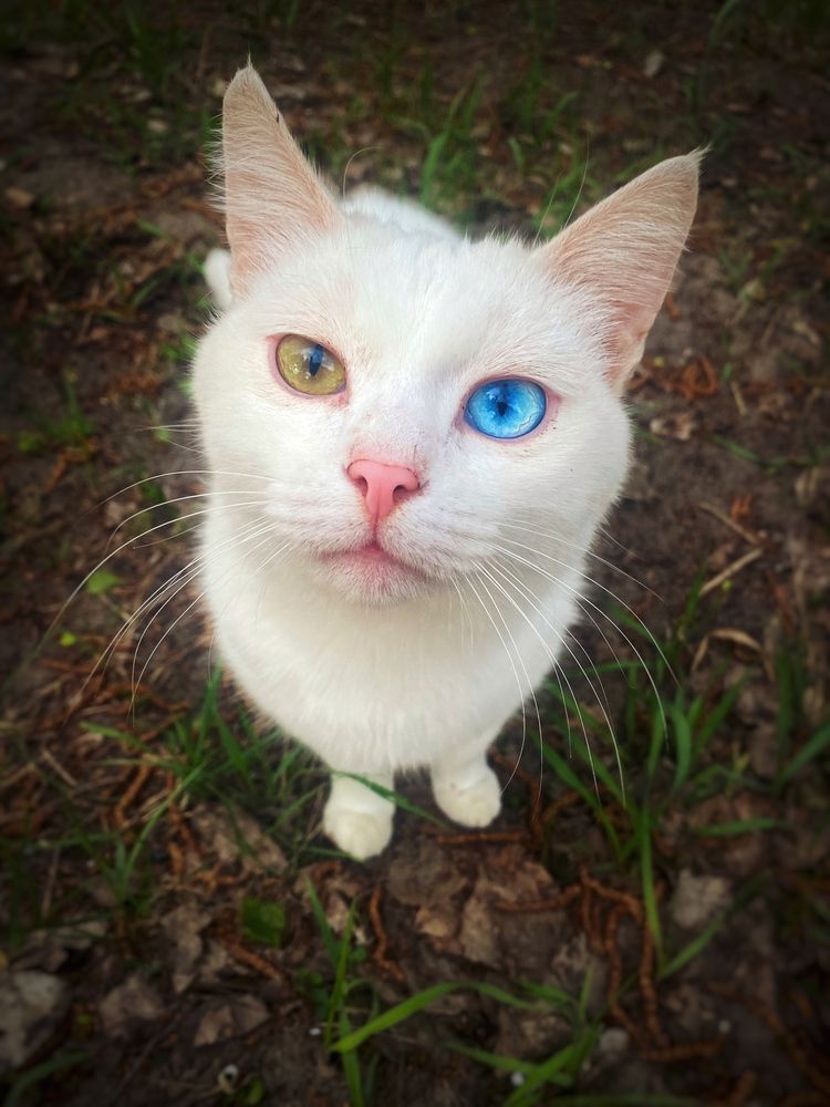 Фотография автора Наталья Мыкольникова