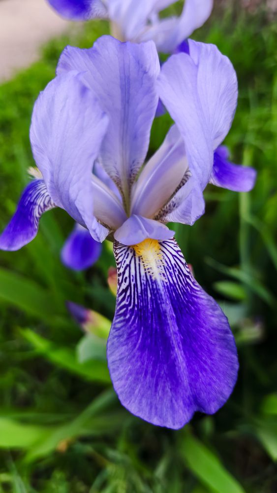 Photograph by Любовь