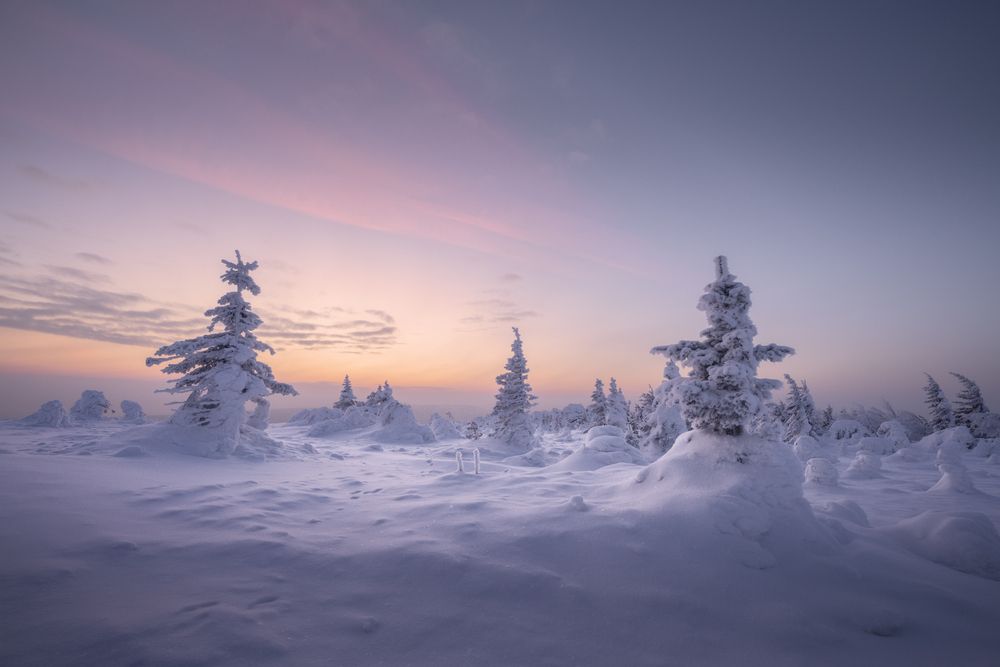 Фотография автора Михаил Широбоков