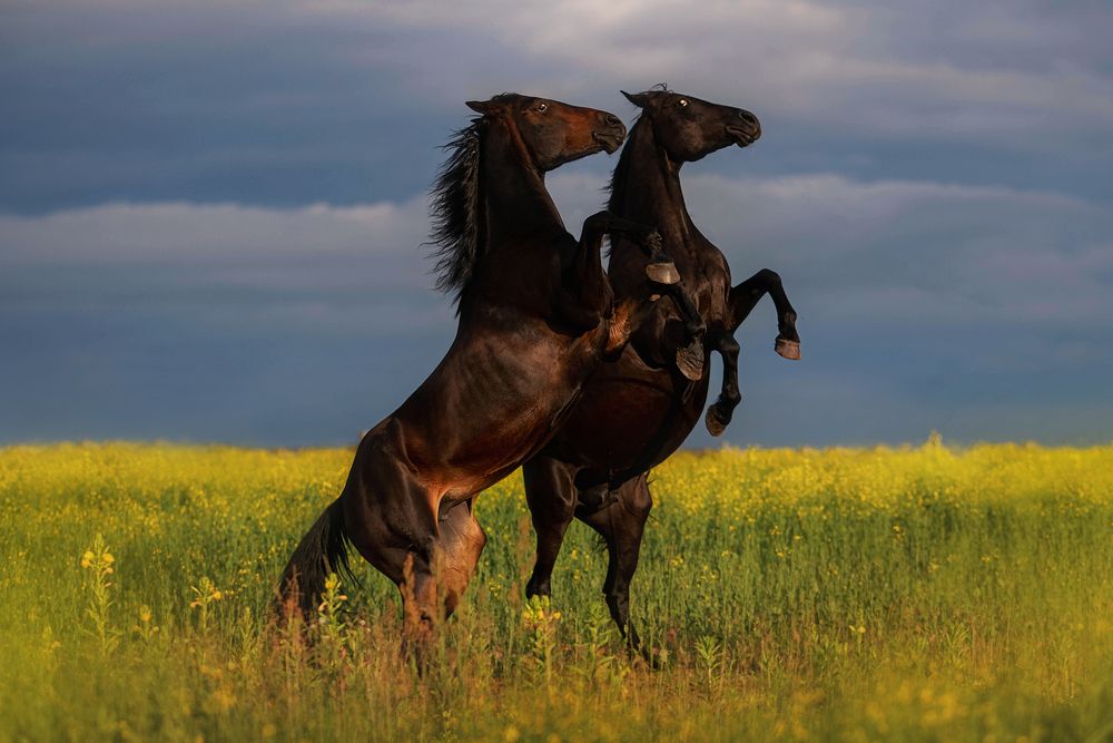 Photograph by Вероника Ранцева