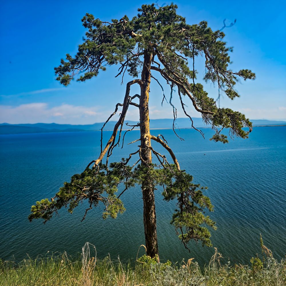 Фотография автора Нина Зинченко