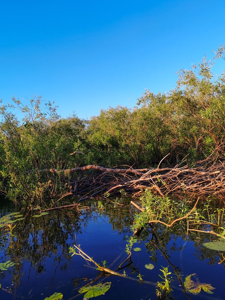 Photograph by Любовь