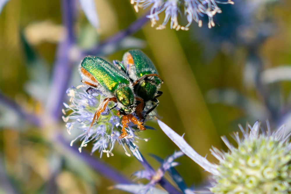 Photograph by Владимир Рогулькин