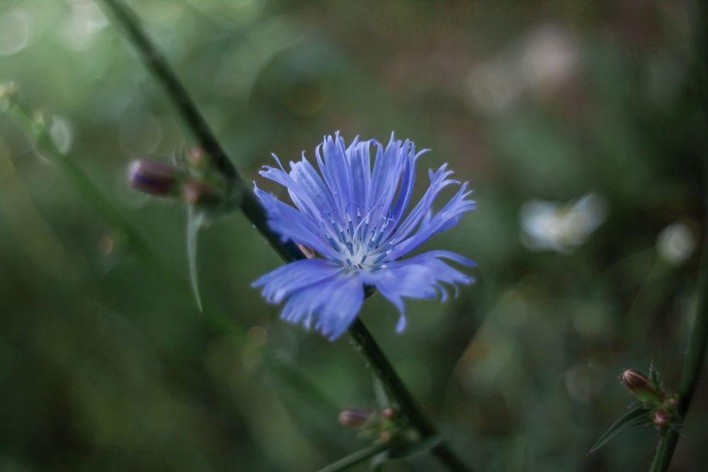 Photograph by Наталья Островцева