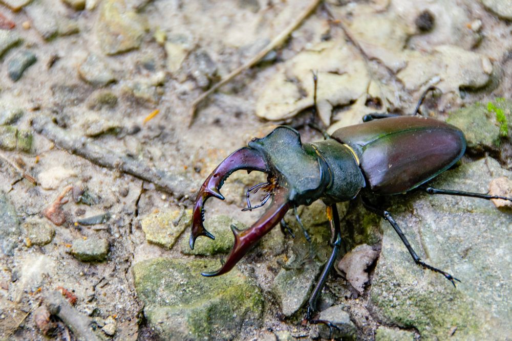 Photograph by Владимир Рогулькин