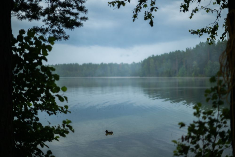 Photograph by Юрий Рыжков