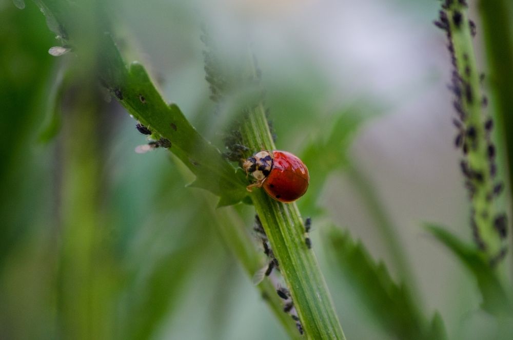 Photograph by Татьяна Жиркина