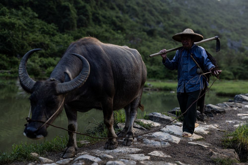 Photograph by Одаренко Ольга