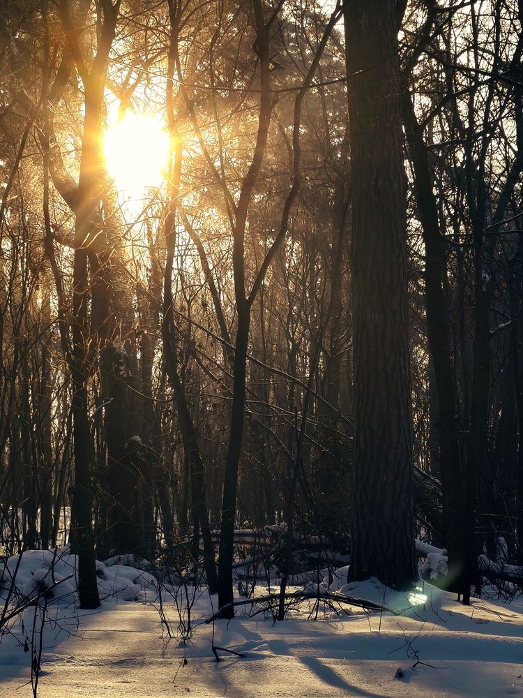 Фотография автора Юрий Звонарев