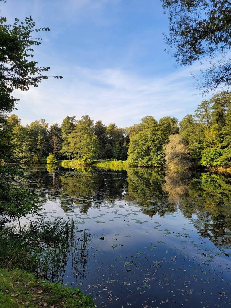 Photograph by Елена