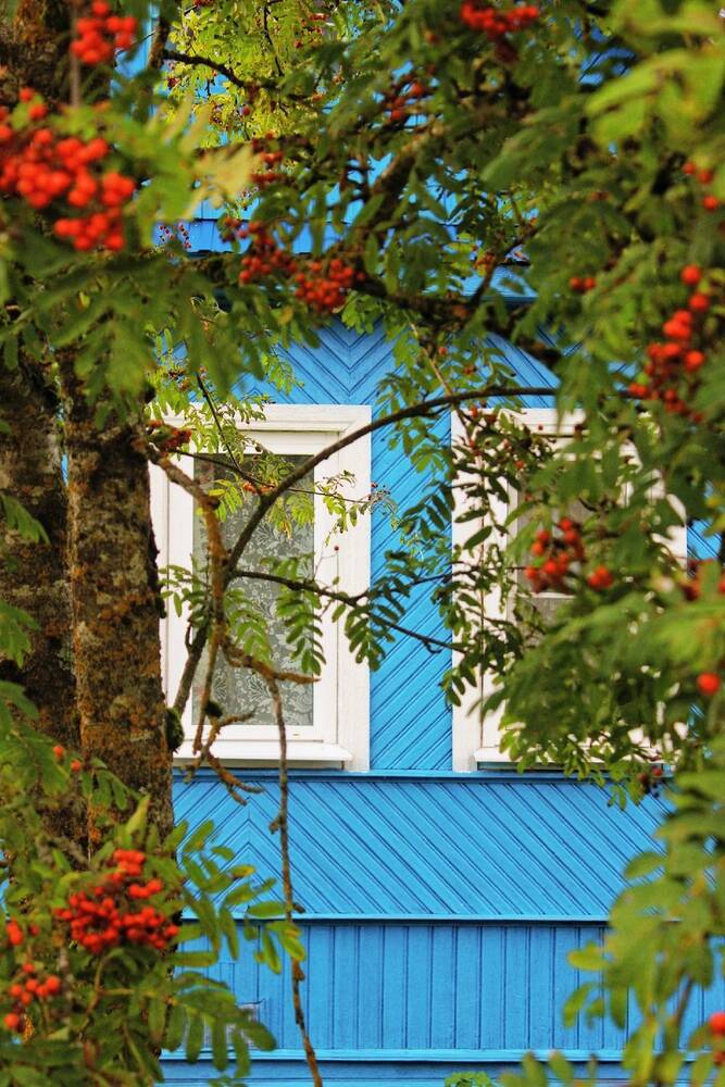 Photograph by Анна