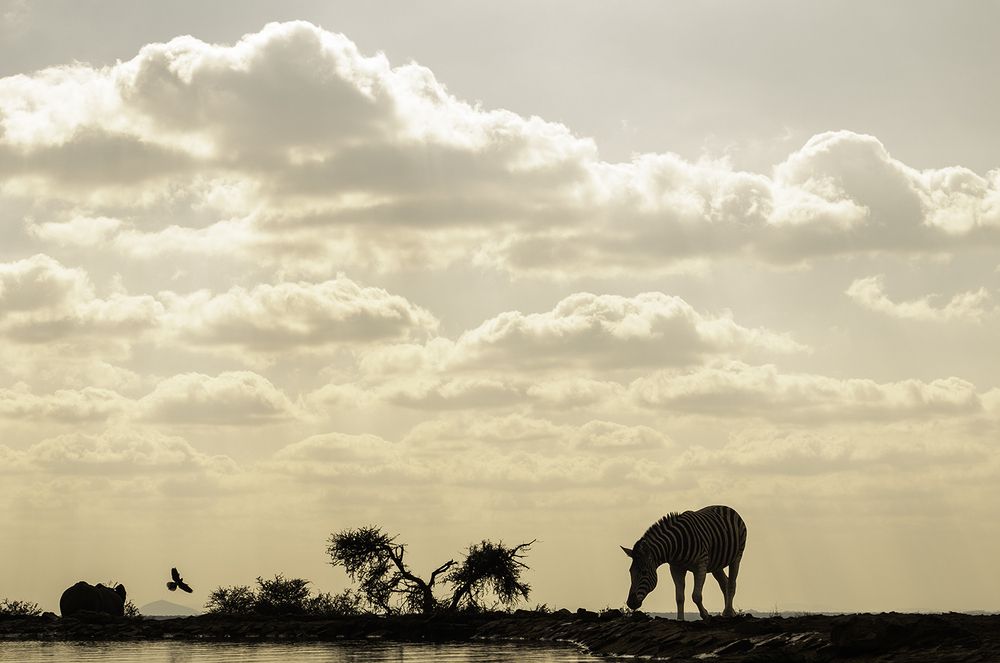 Photograph by PRINCE ELEAZER
