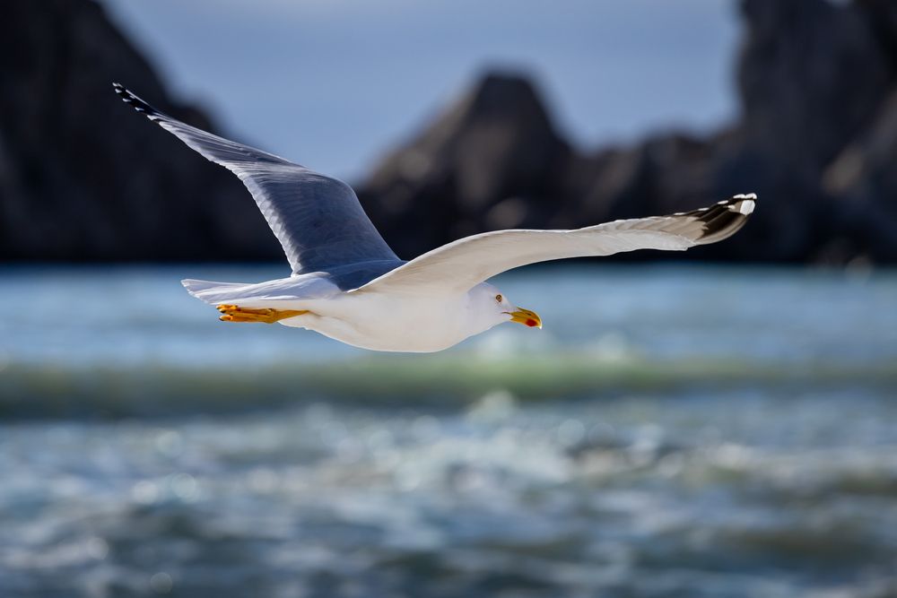 Photograph by Андрей Котенко