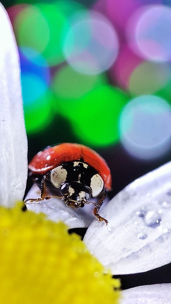 Photograph by Сергей Теплов