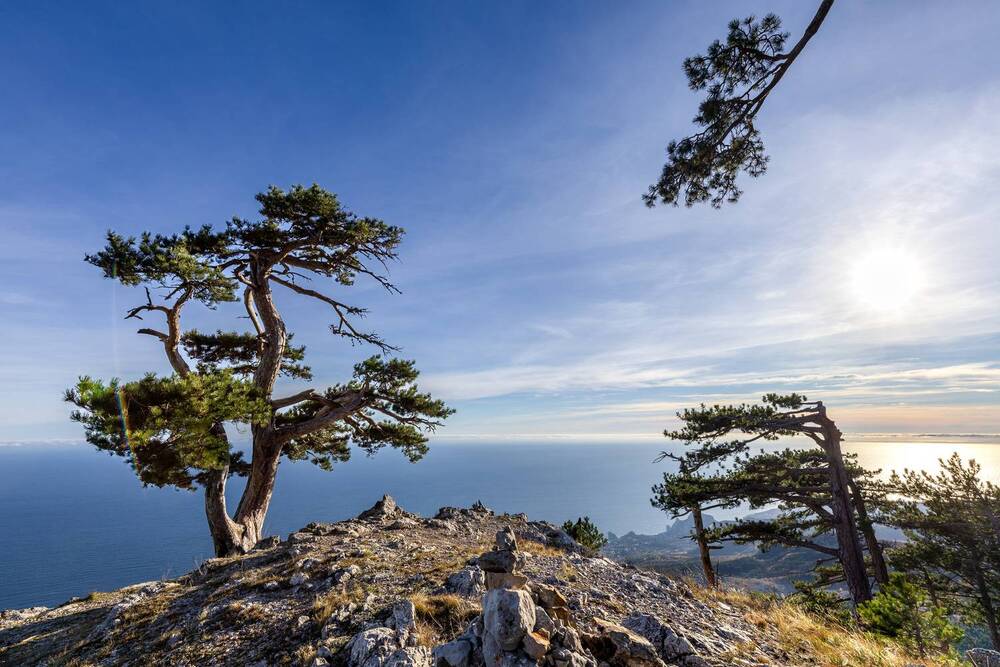 Photograph by Андрей Котенко