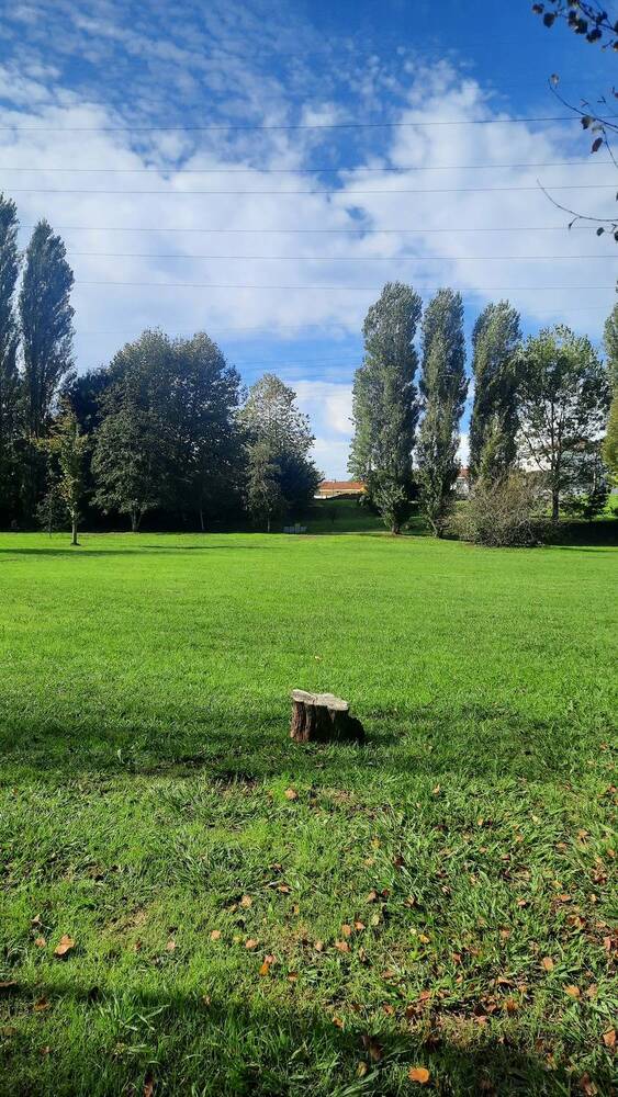 Фотография автора Anabela Maria Lima Silva